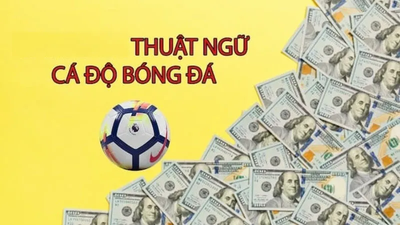 Những thuật ngữ trong tỷ lệ cá cược bongso88