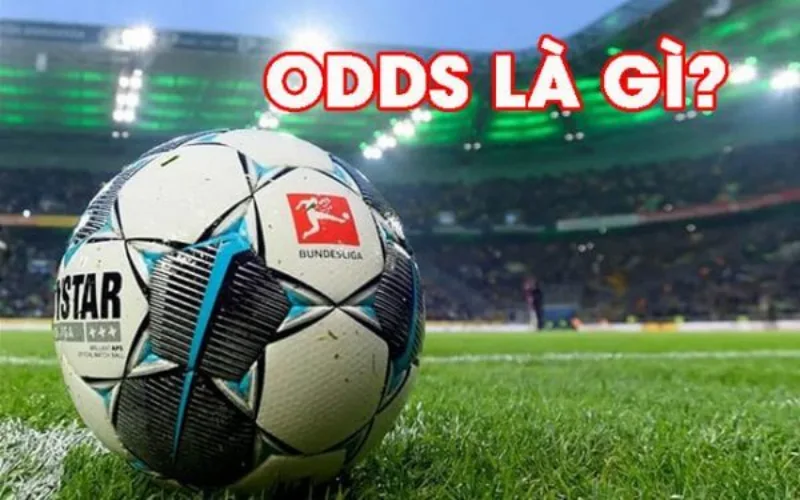 Khái quát chung Odds