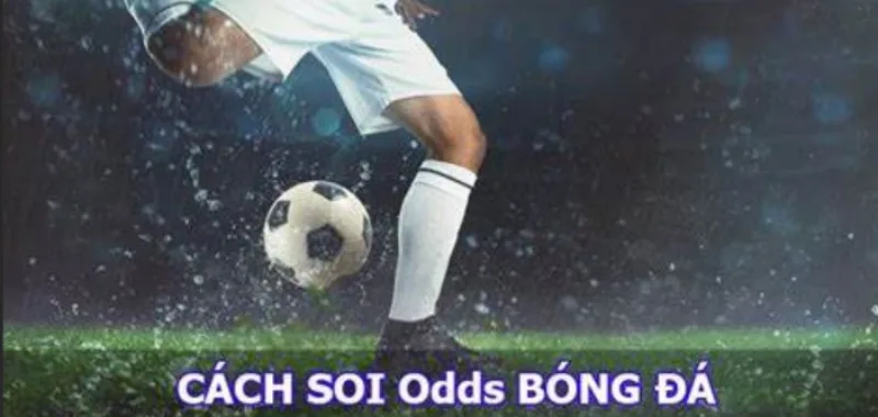 Nắm vững nguyên tắc Odds