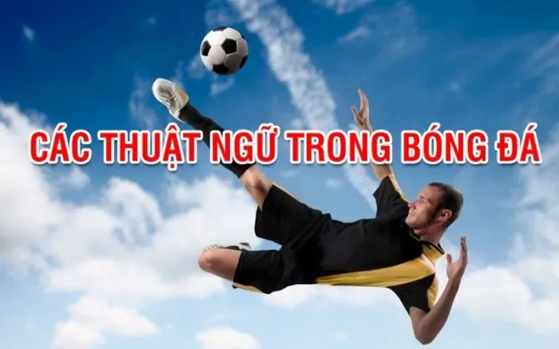 Thuật ngữ cá độ bóng đá 