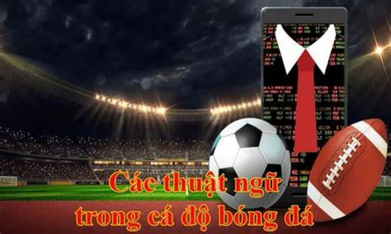 Thuật ngữ trong cách đọc kèo châu Á