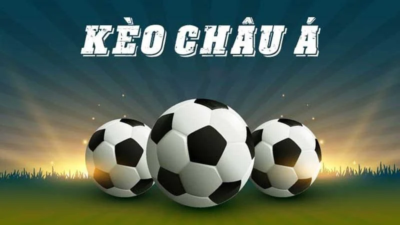 TOP nguyên nhân khiến bet thủ nên chọn trên dưới